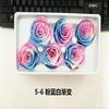 Rosa eterna de 5-6 cm de doble color, flor Tanabata, regalo de San Valentín, Navidad, cumpleaños, caja de regalo, materiales de regalo