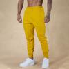 Nuevos Pantalones Deportivos de Fitness Muscular Estilo Europeo y Americano Transfronterizos para Hombre, Pantalones Largos Casuales para Correr, Pantalones de Chándal Deportivos Otoño e Invierno, Pantalones Casuales
