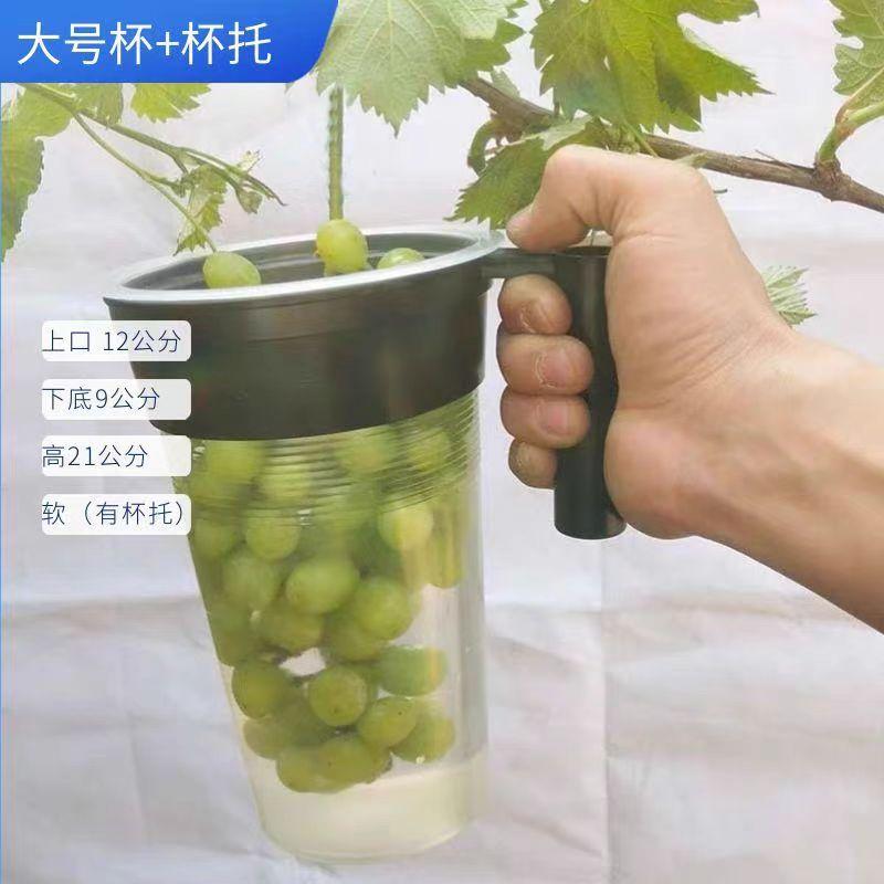 微信图片_20240313143916