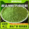 Bebida Sólida en Polvo de Pasto de Trigo, Polvo de Jugo Verde de Hoja de Cebada, Polvo Sustituto de Comida, Polvo de Verduras Deshidratadas, Fabricante de Polvo Deshidratado de Pasto de Trigo