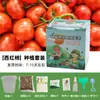 Plantas en Maceta Hechas a Mano para Niños Estudiantes de Primaria para Observar el Crecimiento de las Plantas Cultivo y Germinación DIY Mini Plantas Verdes en Maceta