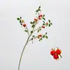 Fruta Artificial de Framboesa de Haste Longa para Jardim, Paisagismo, Arranjos Florais de Designer, Decoração Suave e Arranjos de Flores
