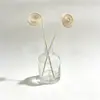 Palitos Diffusores Naturais Estilo Rattan em Estoque, Palitos Vaporizadores de Óleo Essencial, Aromaterapia Sem Chama Atacado Ornatos Criativos