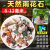 Piedra de Flor de Lluvia Natural Piedra Original Arena para Fondo de Acuario Piedra Volcánica Paisaje Decoración con Piedras Pequeñas Piedra Colorida Piedra de Cinco Flores Tanque para Tortugas