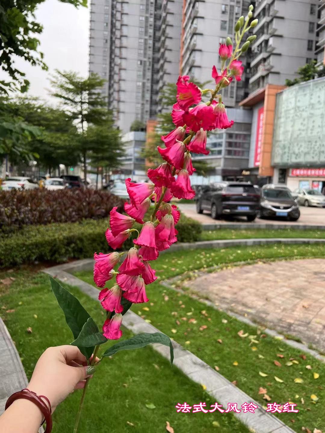 微信图片_20230702182056.jpg