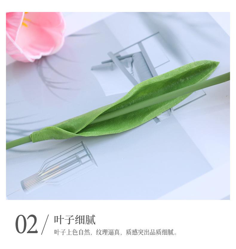 PU恋夏郁金香_13.jpg