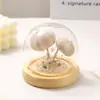 Adornos creativos de escritorio, conchas marinas, regalos de cumpleaños, decoraciones culturales y creativas, adornos pequeños luminosos de escritorio con cúpula de cristal al por mayor