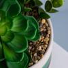 Processamento direto da fábrica vasos de bonsai de plantas suculentas verdes carnudas personalizados cerâmica tamanho pequeno tamanho pequeno país velho retro ideias de jardinagem