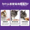 Alimentador de Comida para Gatos Mascotas, Cuchara Dispensadora de Pasta de Carne para Gatos, Dispensador de Snacks, Cuchara de Alimentación, Suministros para Mascotas en Bolsa Opp