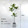 Planta Verde Artificial Grande Nórdica Árvore da Fortuna Decoração de Chão para Entrada de Casa Interior Paisagismo Planta Falsa em Vaso Personalização