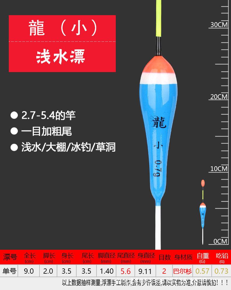 新龙小.jpg