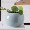 Jarrón Creativo Pequeño Fresco Celadón Decoración para el Hogar Sala de Estar Adornos Florales Hierba de Monedas de Cobre Contenedor de Escritorio para Plantas Verdes Hidropónicas