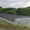 Invernadero Personalizado por el Fabricante Invernadero Unido de Arco Principal y Auxiliar Plantación y Crianza Invernadero para Hortalizas Jardín de Flores Invernadero Inteligente