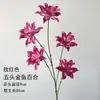 Materiales Florales Rojo Rosa de Alta Calidad Más Vendidos para Accesorios de Salón de Bodas, Decoración de Entrada, Arreglo Floral de Techo Estilo Chino Nuevo y Decoración de Pasillo