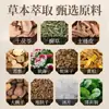Ungüento Miaojiang de Li Shizhen para Cintura, Piernas, Articulaciones de Rodilla, Columna Cervical, Ungüento Herbal para Tendones y Huesos, Ungüento de Tigre, Venta al por Mayor Personalizada y Dropshipping