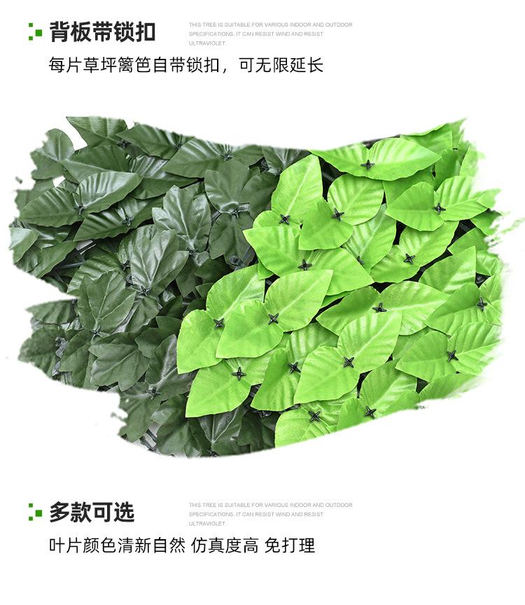 详情10.jpg