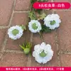 Decoração de Casamento com Flores Brancas, Peônias, Phalaenopsis, Rosas, Arranjos Florais de Teto e Arranjos Florais Pretos para o Salão de Casamento