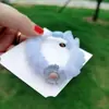 Estilo Coreano Organza Explosivo Pequena Margarida Colon Anel de Cabelo Meninas Doce Versátil Bola de Cabelo Corda de Cabelo