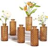 Vaso Retro Personalizado Vidro High-End Decoração Suave Pequeno Vaso Vidro Transparente Frasco de Aromaterapia Decoração de Casa
