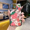 Adecuado para funda de teléfono estilo fresco Apple 17Promax, funda acrílica magnética Apple 16Plus con borde negro 15/14