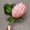 Nueva planta tropical de simulación de alta gama, flor imperial, decoración de mesa para sala de estar, ramo, adornos, fotografía, flores falsas