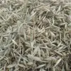 Hierba de Avena Materiales Medicinales 500g Materiales Medicinales Chinos Genuinos Hierba de Avena Silvestre Espiga de Avena Silvestre Hierba de Trigo Silvestre Trigo Negro