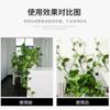 Artefacto de Pared para Trepar Rosas Verdes Cesta Verde Fijador Clip para Trepar Plantas Verdes Gancho sin Rastro Barra de Trepar sin Perforar