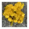 Grandes Ramilletes de Hojas Falsas de Ginkgo para Decoración de Suelos de Hogares y Hoteles, Hojas de Ginkgo Estilo Pastoral al por Mayor del Fabricante