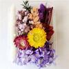 Flor eterna diyC Material de flores secas Bolsa Marco de fotos Grupo Abanico Botella flotante Material de flores Diseño de flores reales para jardín de infantes Decoración de sala de estar