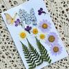 Garrafa de Água Transparente Marcador de Livro com Flores Secas Jardim de Infância Crianças Artesanato Manual Espécime de Planta Presente de Feriado Florista Salão