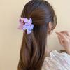 Pinza de Pelo para Mujer con Patrón Dali Flor de Huevo Dulce Alto Sentido Disco para Parte Trasera de la Cabeza Pinza de Tiburón Grande