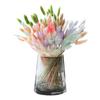 Ins Cyber Celebrity Flower Bundle Flor Eterna Casa Sala de Estar Ornamentos Decorativos Ramos Secos Arranjo de Flores Rabo de Coelho Grama Flores Secas