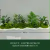 Plantas Verdes Pequenas para Paisagismo e Decoração, Plantas Artificiais para Decoração Suave de Sala de Estar Interna, Paisagem Pequena, Vitrine, Aglomerado de Grama Musgo, Micro Paisagem