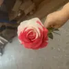 Tela de seda flor de simulación de rosa única boda al aire libre día de San Valentín regalo rosa transfronteriza rosa de simulación al por mayor