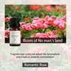 Versão inglesa transfronteiriça de umidificador de óleo essencial de aromaterapia solúvel em água para fragrância de ambiente e purificador de ar com óleo essencial de aromaterapia