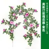 Simulación vid de flores de rosa vid colgante de pared vid de flores falsas paisajismo de hotel aire acondicionado tubería de agua decoración fea flor