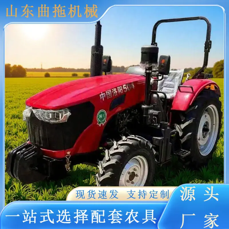 中国洛阳504 1