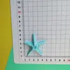 Accesorios Grandes de Resina de Concha y Estrella de Mar Imanes para Nevera DIY Decoraciones para Fundas de Teléfono Hebillas para Zapatos DIY Transfronterizo