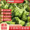 Suministro Listo de Brócoli Congelado Rápido de 3 a 5 cm, Brócoli Congelado y Coliflor Verde Procesados por Fabricantes de Shandong