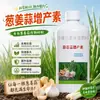 Cebola, gengibre, alho fertilizante aumentador de rendimento, fertilizante para cultivo de vegetais, fertilizante orgânico espessador de folhas, aumento de frutos, fertilizante granular de liberação lenta aumentador de rendimento atacado