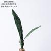 Galhos Artificiais de Filodendro de Zhi Xu, Flores Artificiais e Plantas Verdes Atacado, Artesanato para Decoração de Casamento, Estilo Ins, Transfronteiriço