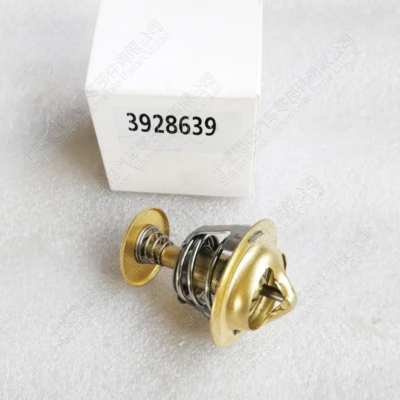 3928639 (3).jpg
