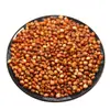 Sorgo Rojo con Piel, Nueva Cosecha de Agricultores, Granos de Sorgo Rojo para Elaboración de Cerveza, Alimento para Palomas, Alimento para Pájaros, Alimento para Animales, Dropshipping, Venta al por Mayor, Venta al por Menor