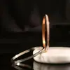 Pulsera de Acero de Titanio para Mujer, No se Desvanece, Moderna, Versátil, Lujo Ligero, Sensación de Alta Gama, Cierre de Acero Inoxidable, Pulsera Incrustada con Diamantes