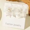 Joyería de Exportación Europea y Americana, Pendientes de Resina Tridimensionales Frescos y Dulces de Dopamina a la Moda, Pendientes de Flor Hechos a Mano