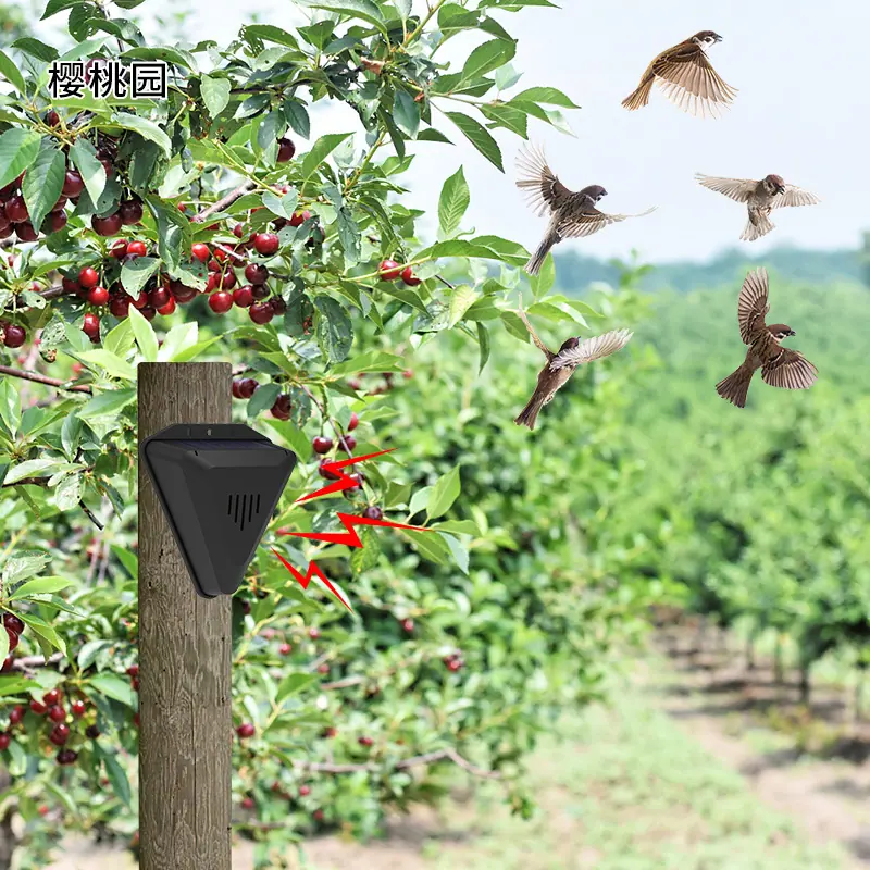 911Q-驱鸟款详情_09