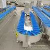 Equipo de clasificación de pechuga de pollo, raíz de ala de pollo, máquina clasificadora automática de peso de subproductos de pollo y pato, máquina clasificadora de peso de caja de material