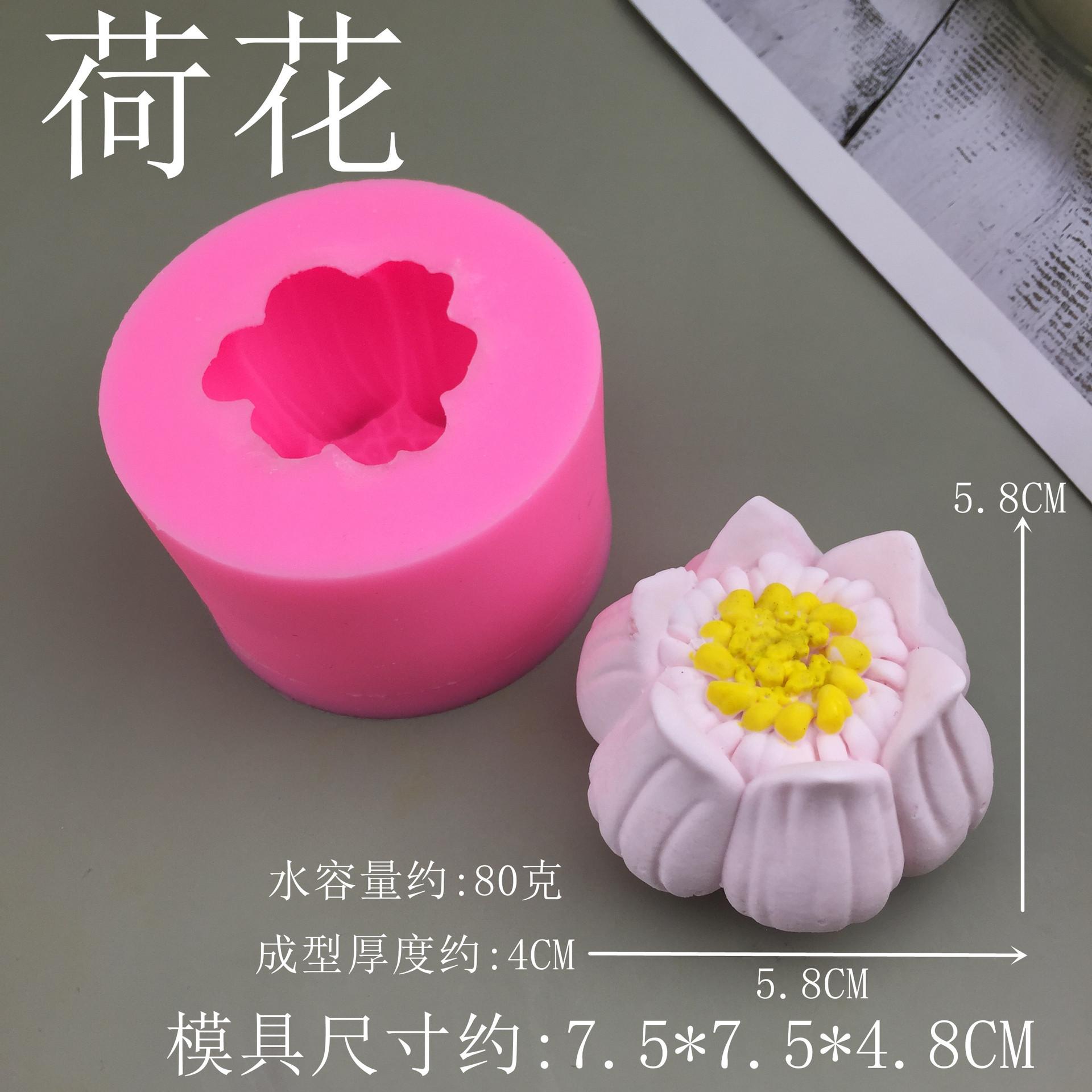 5_副本