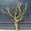 Ramas secas con la corteza pelada forma de rama negra árbol de los deseos paisajismo toma fotografía decoración madera muerta ramas secas