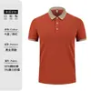 Camisa Polo Formulación Uniforme Escolar de Verano Camiseta de Manga Corta Ropa de Trabajo Cultura Publicitaria Camisa con Cuello Ropa de Trabajo Logo Impreso Personalizado